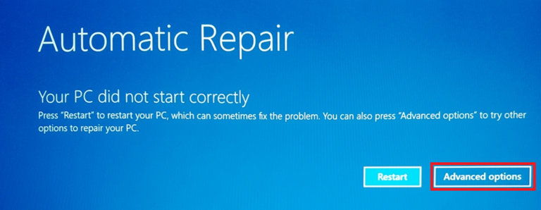 Auto Repair Screen Advanced Options