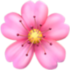 Cherry Blossom Symbol