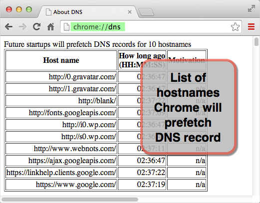 Chrome DNS Command