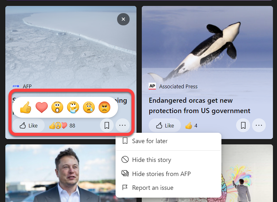 News Feed Options in the Widget Area