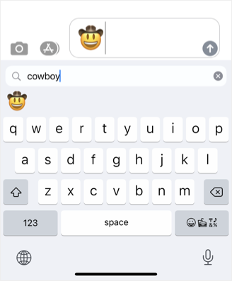 Insert Cowboy Face in Phone