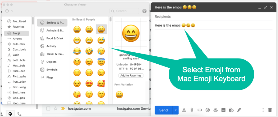 Insert Emoji in Gmail with Mac Character Viewer