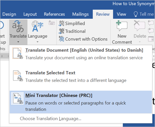 Language Setup for Mini Translator