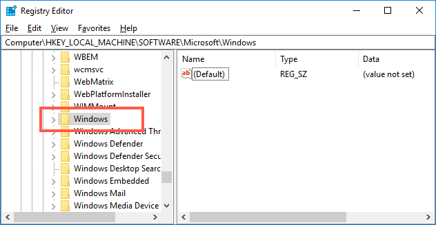 Registry Editor Windows Section