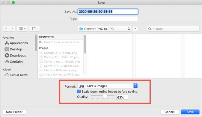 Mac SnagIt Image Conversion Options