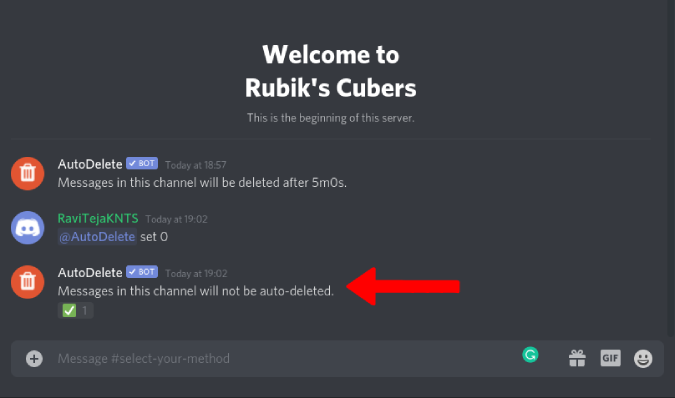 Stop auto deleting messages in Discord 