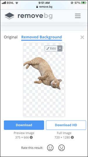 Remove.BG Download Image