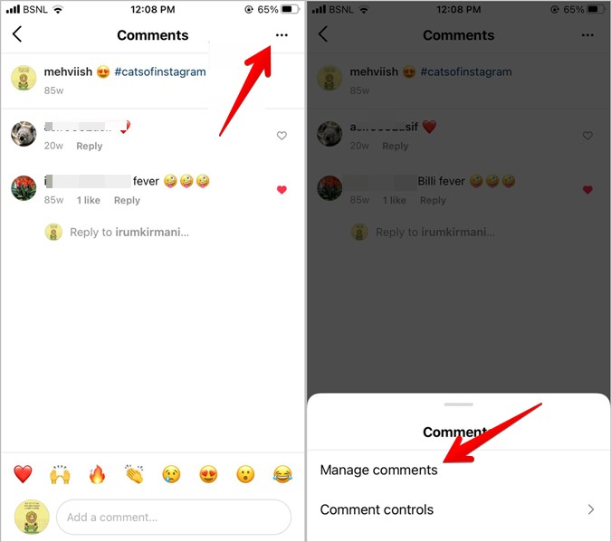 Instagram Manage Comments iPhone