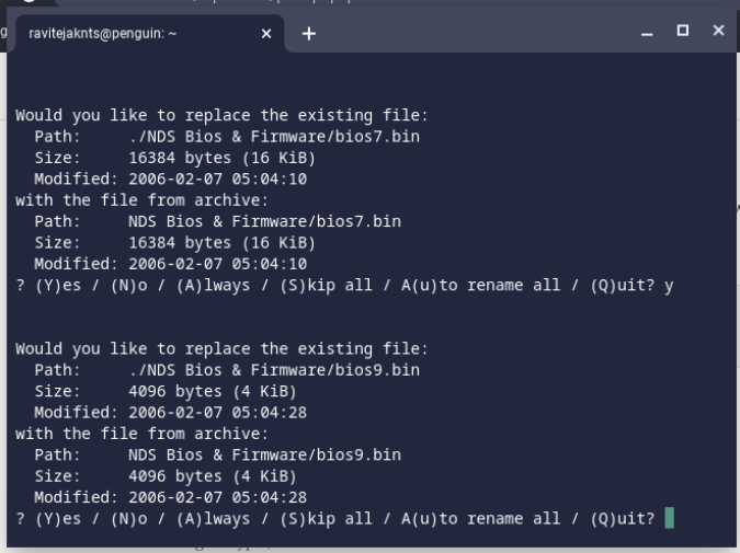 Extracting the files using 7z in terminal 