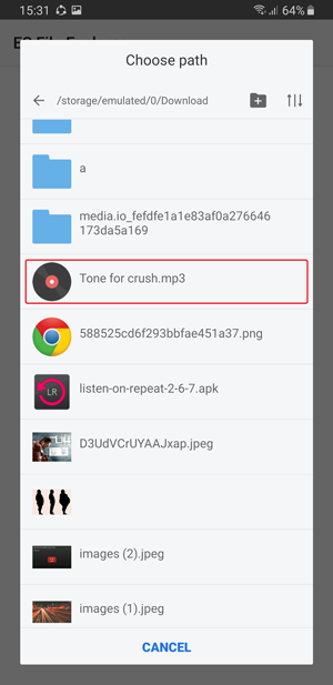 whatsapp custom notification- tone for crush