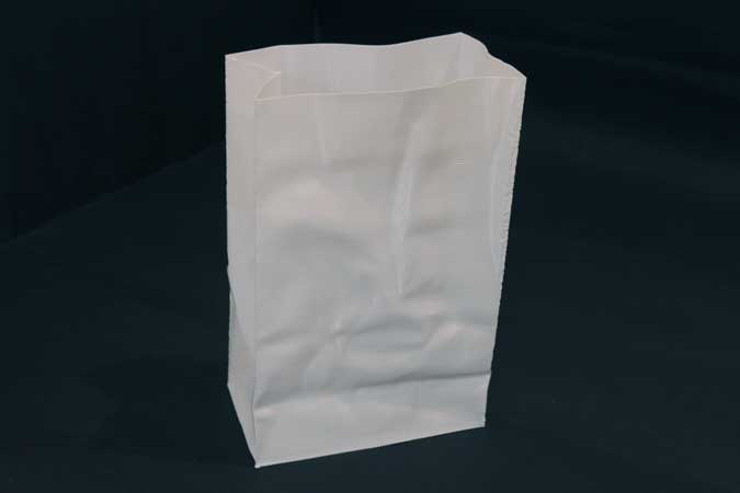 Paper Bag 3d print