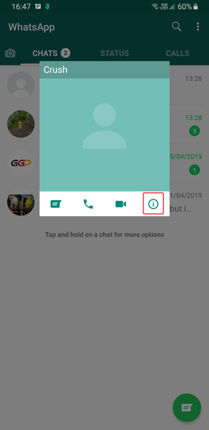 whatsapp custom notification- info