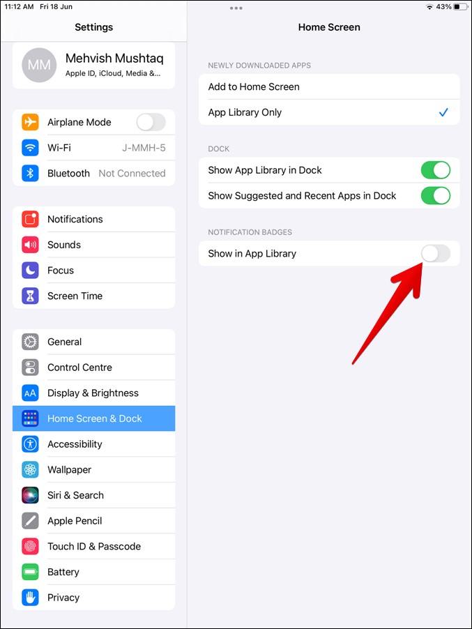 iPad Notification Badges App Library