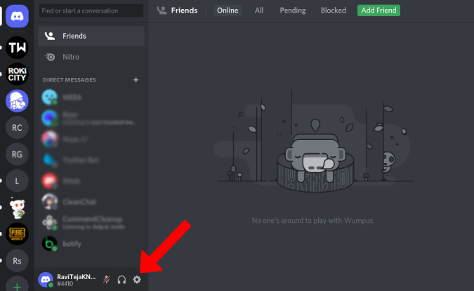 Opening Discord Settings 