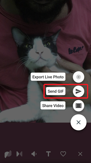 Turn Live Photos to GIF- send gif