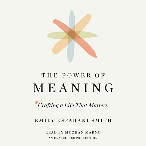 motivational audiobook - 06 - The Power of Meaning
