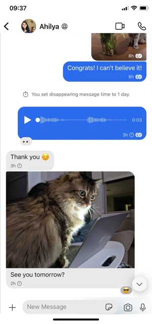 signal app with a chat window, voice messages and a picture of cat