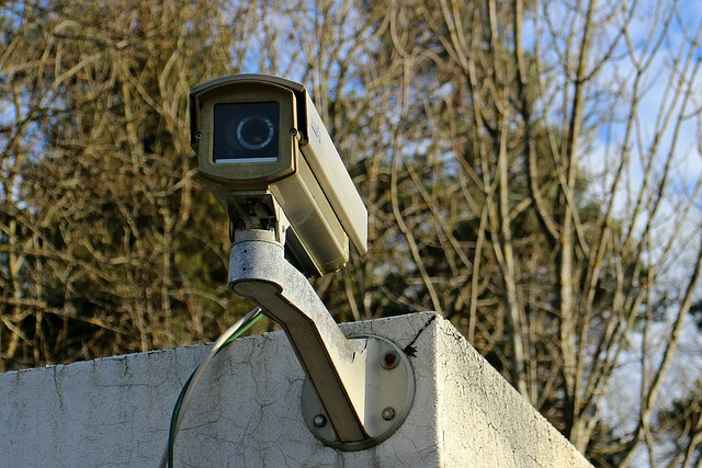 Usa tu Android como cámara de vigilancia