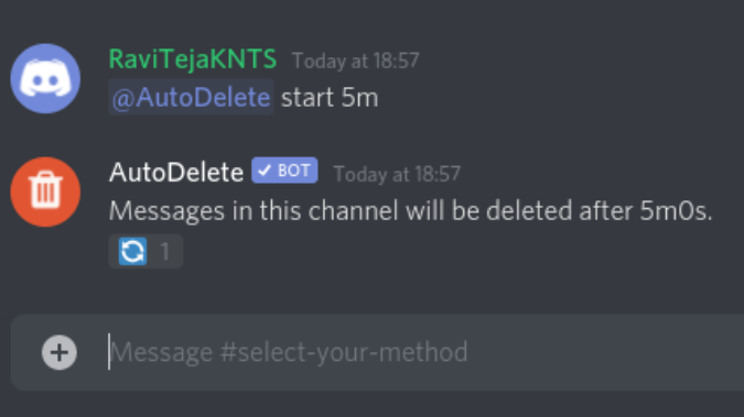 Auto Deleting messages after 5 mins in discord